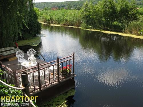 Rent out house. Киевская обл., Новые Безрадичи — photo 5