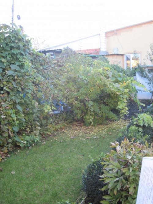 Rent out house. Одесса, 11-я Фонтана — photo 4