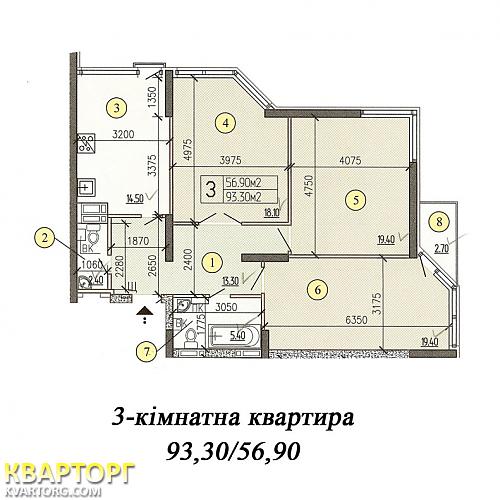  3-  , . 41 -  2