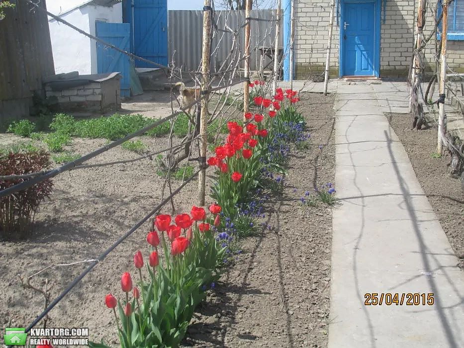 Sell house. Херсон, Фальц-Фейна — photo 2