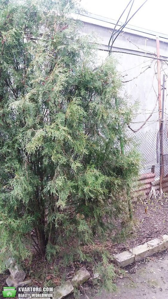 Sell house. Одесса, Буденного / Усатово Беляе — photo 5