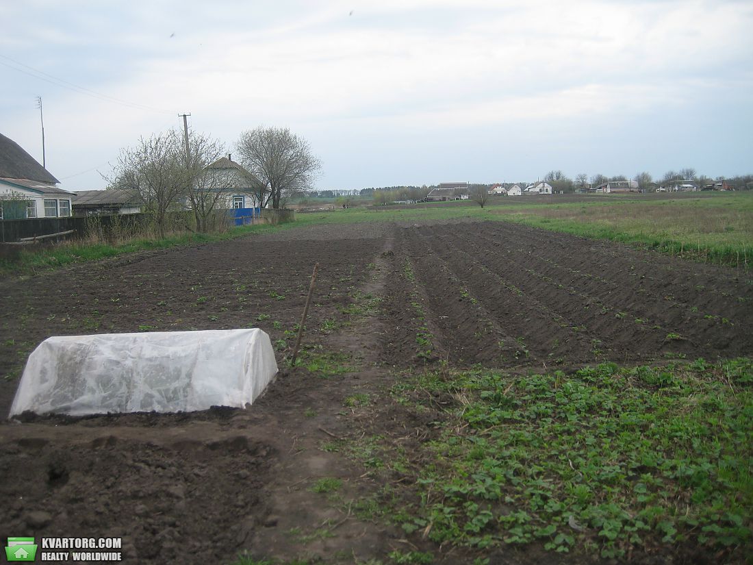 Sell house. Киевская обл., шевченко — photo 7