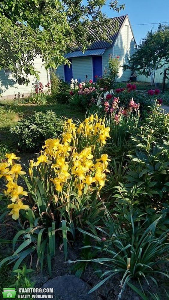 Sell house. Киевская обл., Мала Сквирка — photo 4