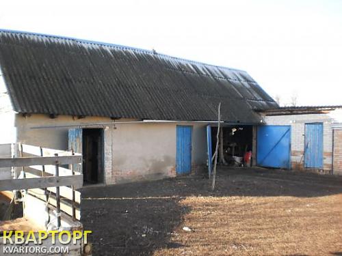 Sell house. Киевская обл., Молодіжна — photo 4