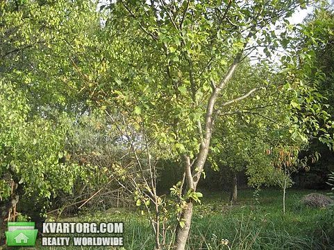 Sell house. Ужгород, Центральная — photo 10