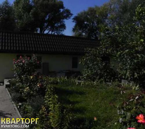 Sell house. Киевская обл., Войково — photo 5