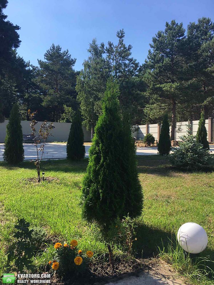 Sell house. Вышгород, Низшая Дубечня — photo 5