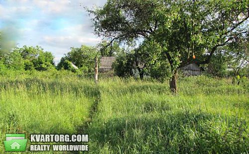 Sell house. Киевская обл., Плесецкое — photo 1