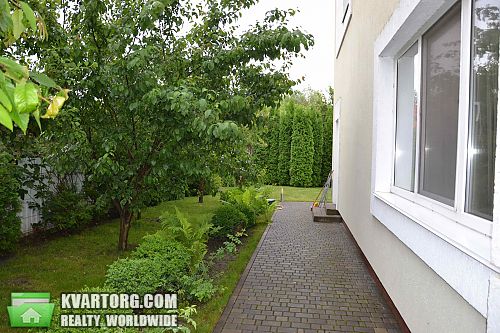 Rent out house. Киевская обл., Луговая — photo 9