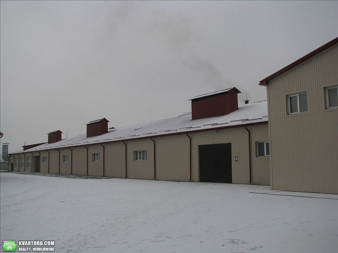 Rent out warehouse. Борисполь, Индустриальная — photo 2