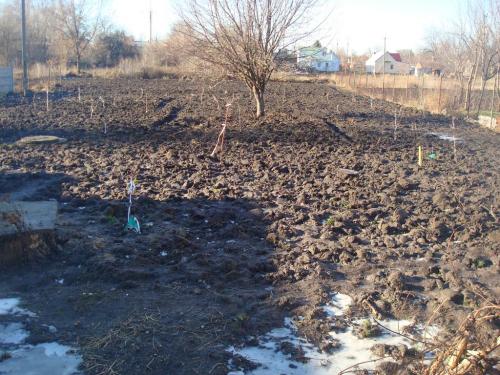Sell house. Днепропетровск, Гагарина — photo 3