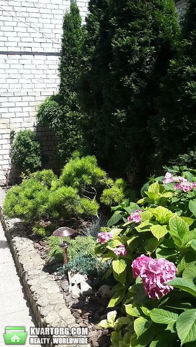 Sell house. Одесса, Чорноморка — photo 4