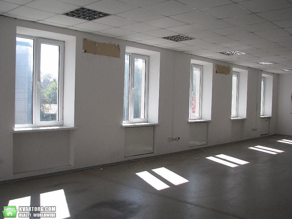 Rent out office. Киев, ул.Жилянская — photo 2