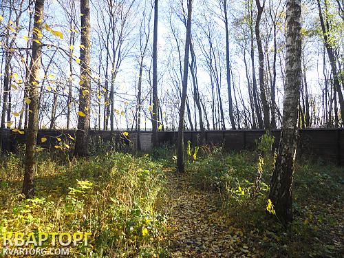 Sell house. Киевская обл., ....................... — photo 4