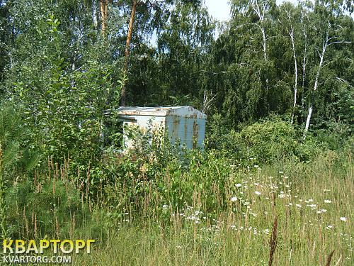 продам участок. Киевская обл.,  круглык - фото 5