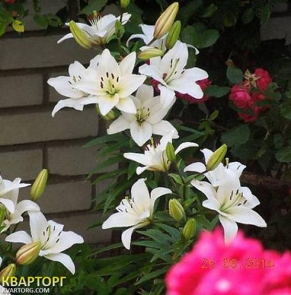 Sell house. Киев,  Крылова — photo 5