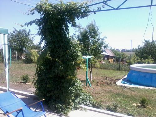 Sell house. Одесса, Киевская — photo 3
