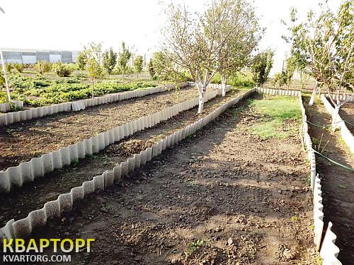 Sell house. Киевская обл., с.Великополовецкое — photo 10