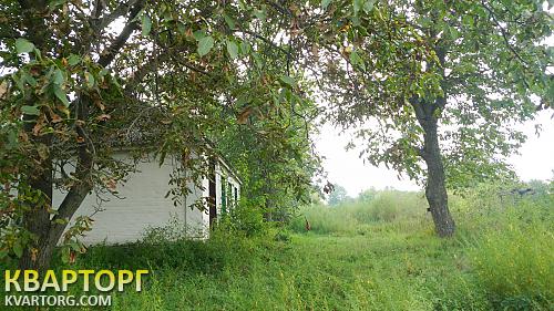 Sell house. Киевская обл., с. Кившовата — photo 6