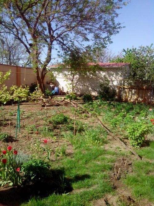Sell house. Одесса, Карла Либкнехта — photo 3