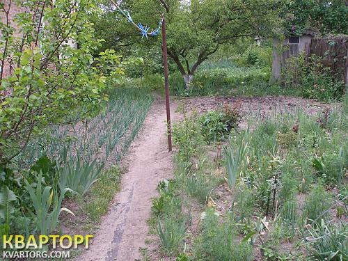 Sell house. Буча, кирова — photo 3