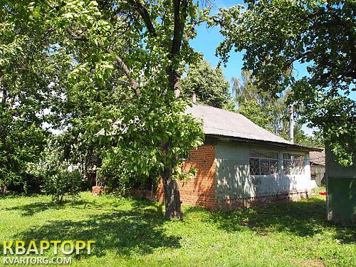 Rent out house. Чернигов, с Голубовка — photo 5