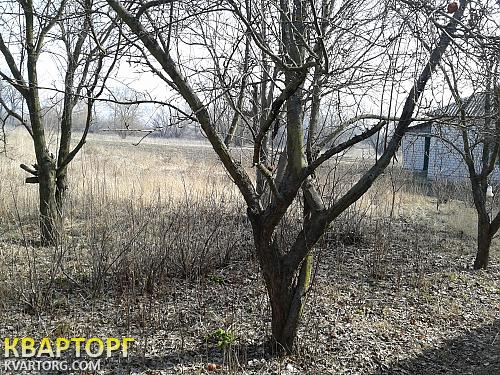 Sell house. Чернигов, Пушкина — photo 2