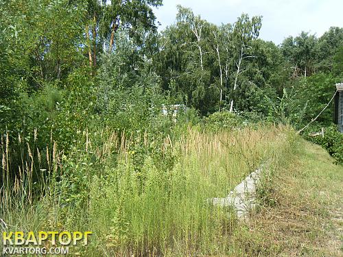 продам участок. Киевская обл.,  круглык - фото 2