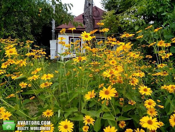 Sell house. Киевская обл., г. Кагарлык — photo 6