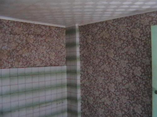 Sell house. Днепропетровск, Байкальскя — photo 5