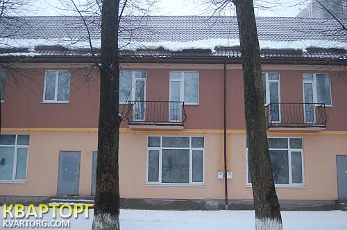 Sell house. Киевская обл., Красноармейская — photo 1