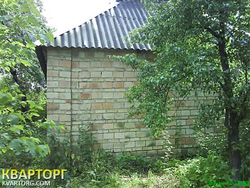 Sell house. Киевская обл., Довгыча — photo 4