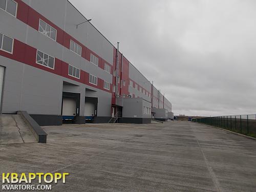 Rent out warehouse. Киевская обл., Софиевская — photo 6
