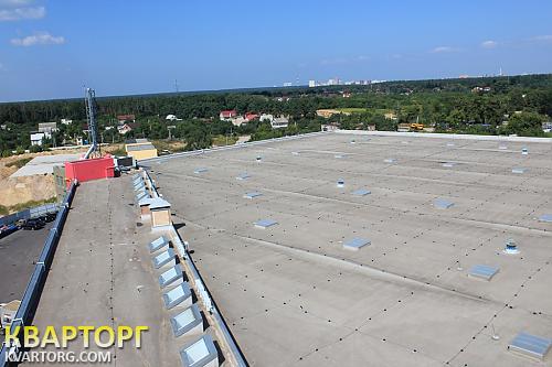 Rent out warehouse. Киевская обл., Чайки — photo 8