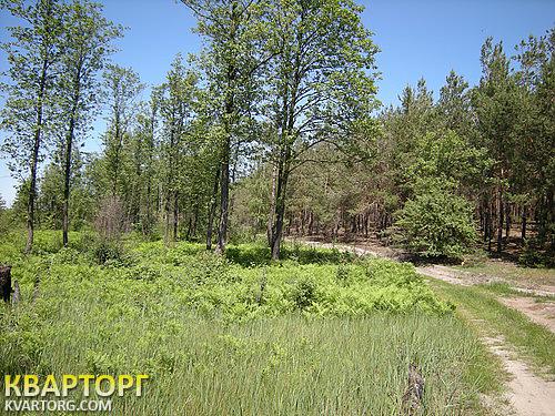 Sell house. Киевская обл., с. Дмитрівка — photo 3