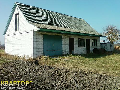 Sell house. Киевская обл., с. Устимовка — photo 2