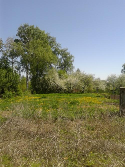 Sell house. Киевская обл., Белинского — photo 2