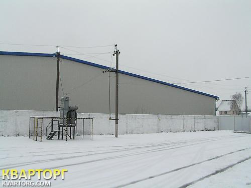 Sell warehouse. Киевская обл., Старые Петровцы — photo 4