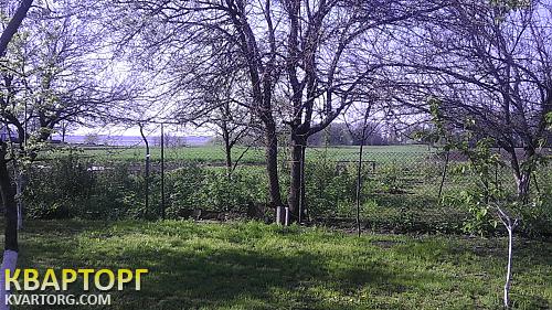 Sell house. Киевская обл., Шевченко — photo 8