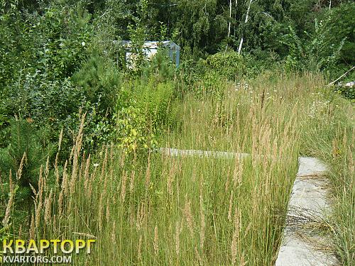 продам участок. Киевская обл.,  круглык - фото 3