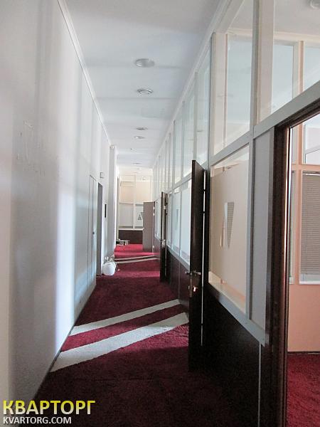 Rent out office. Киев,  Музейный пер — photo 5
