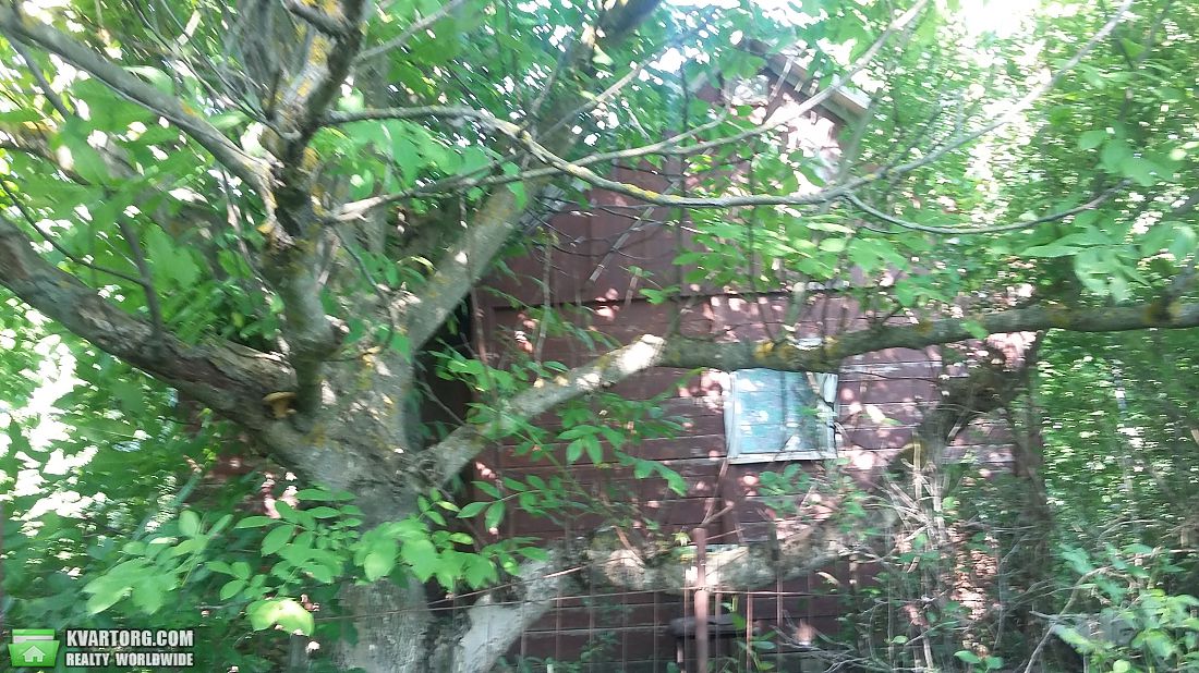 Sell house. Киевская обл., Медиков — photo 2