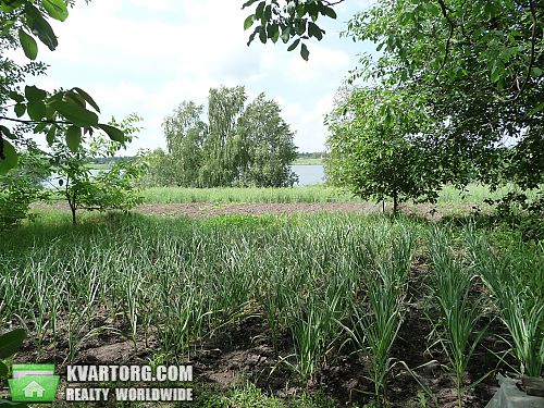 Sell house. Киевская обл., Дзюбовка — photo 3