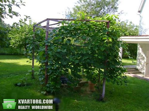 Rent out house. Киевская обл., Праздничная — photo 6