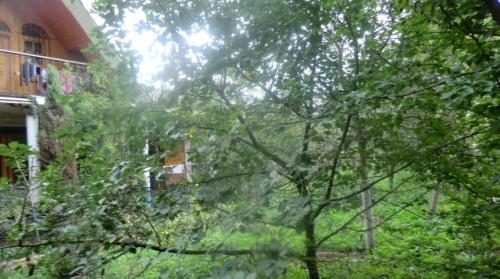 Sell house. Киевская обл., Ленина — photo 1