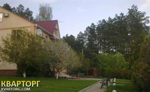 Rent out house. Киев, Пуща-Водица — photo 10