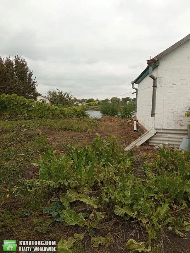 Sell house. Киевская обл., г.Яготин — photo 9
