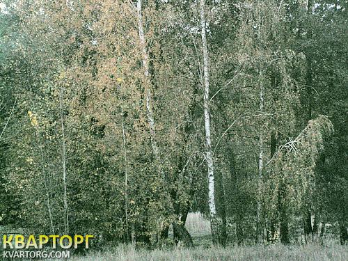 Sell house. Киевская обл., Журавлиная — photo 9