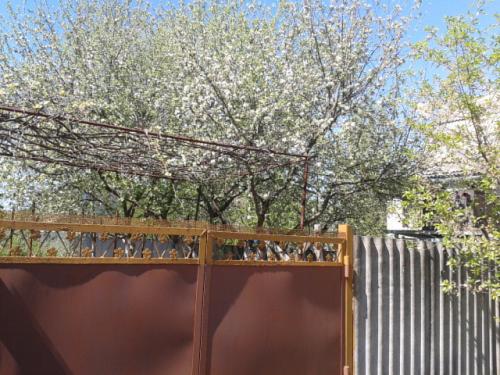 Sell house. Киевская обл., КООП Прилесье — photo 1