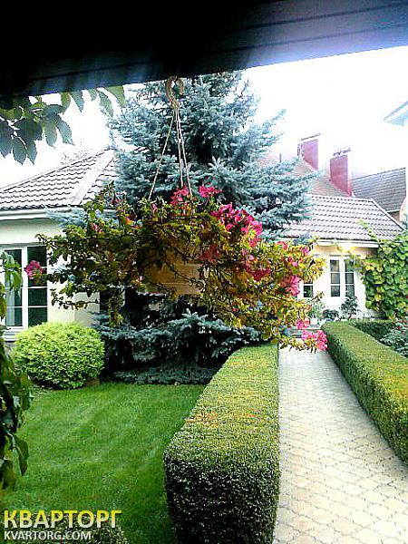 Rent out house. Киевская обл., Конча Заспа — photo 2